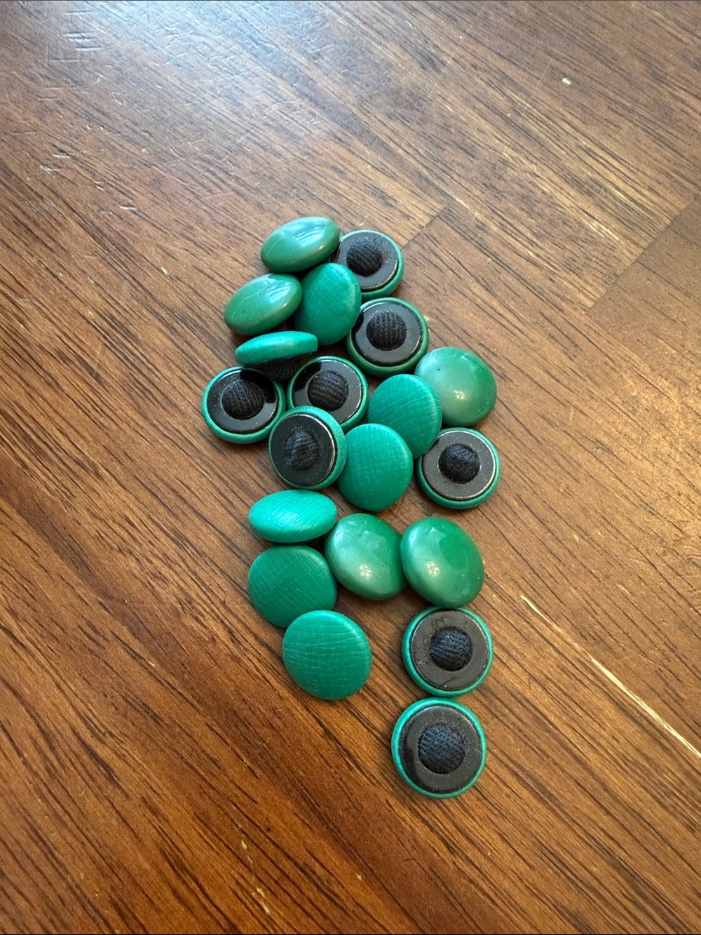 Set of Green Shank Buttons - Teal Green Mix